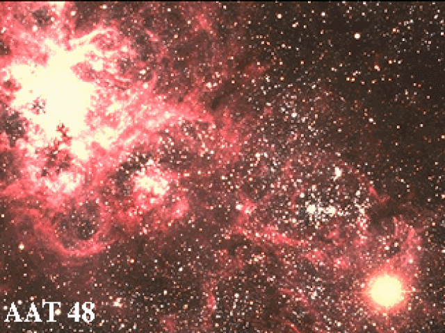 The Tarantula and the Supernova