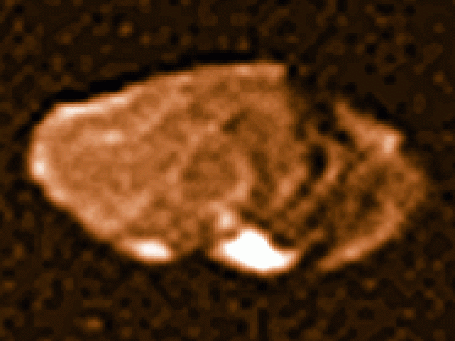 Jupiter’s Moon Amalthea