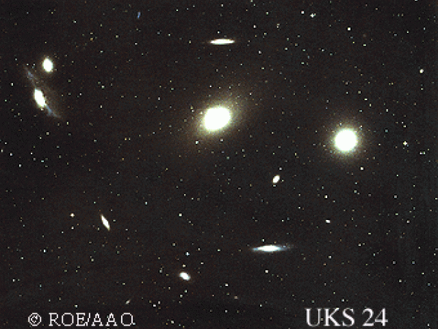 Virgo Cluster Galaxies