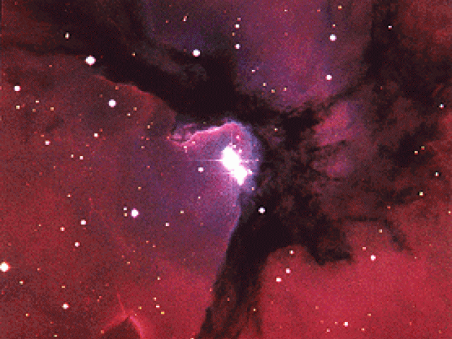 Hot Stars in the Trifid Nebula