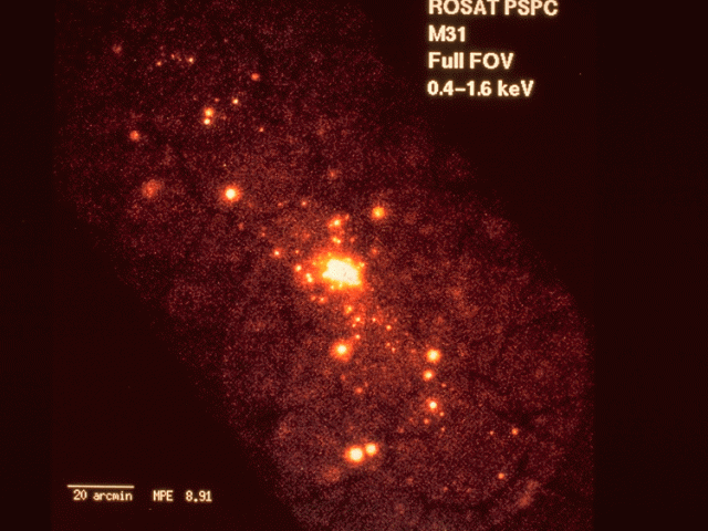 The X-ray Sources of M31