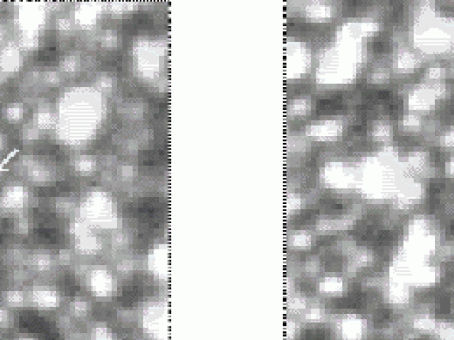A MACHO View of Galactic Dark Matter