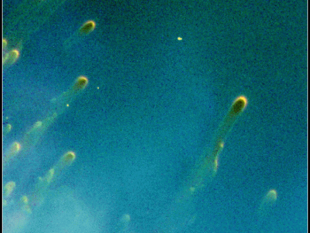 Cometary Knots in the Helix Nebula