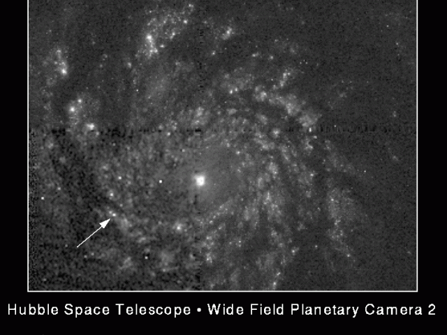 A Supernova in the Whirlpool