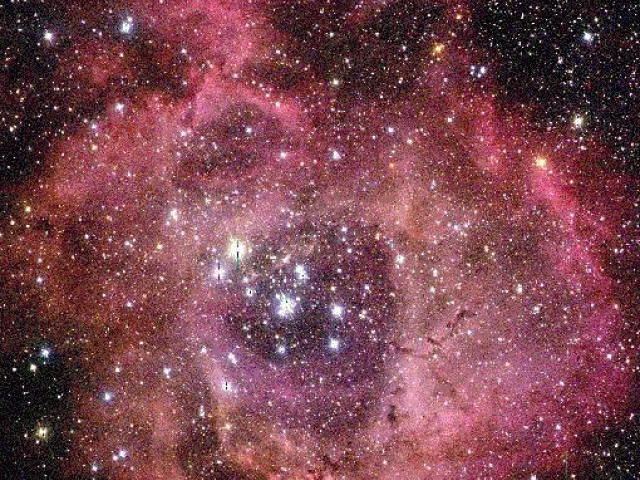 Star Cluster in the Rosette Nebula