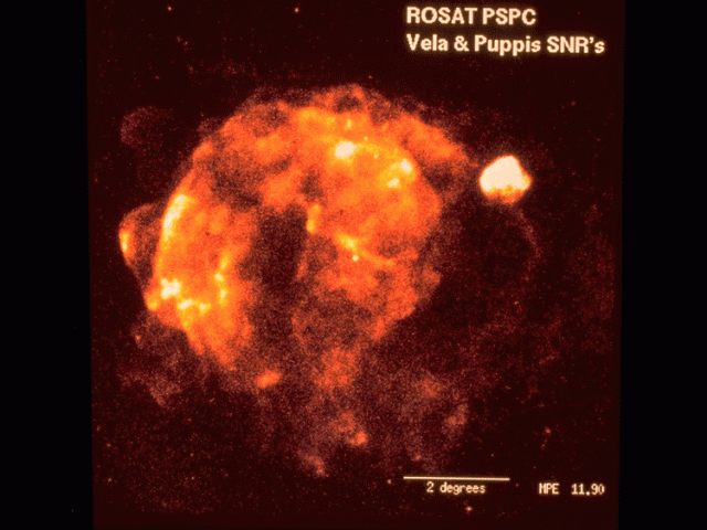 Vela Supernova Remnant in X-ray