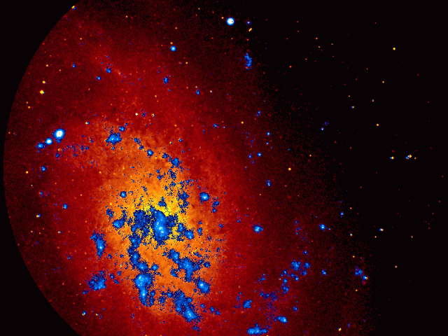 M33: The Triangulum Galaxy