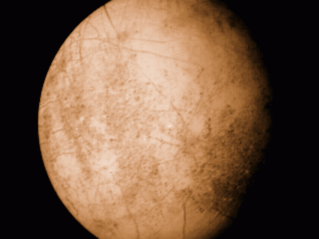Europa: Oceans of Life?