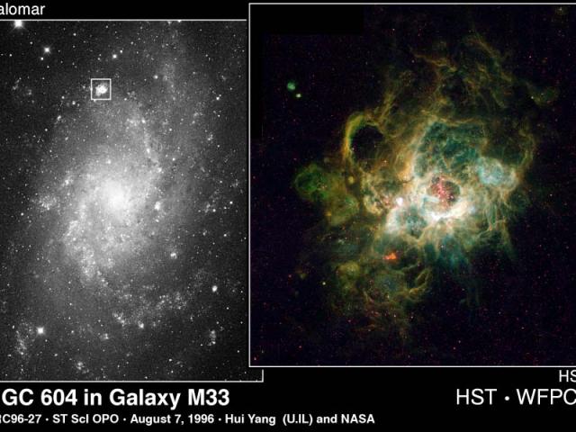 NGC 604: Giant Stellar Nursery in M33
