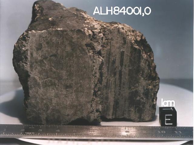 A Meteorite From Mars