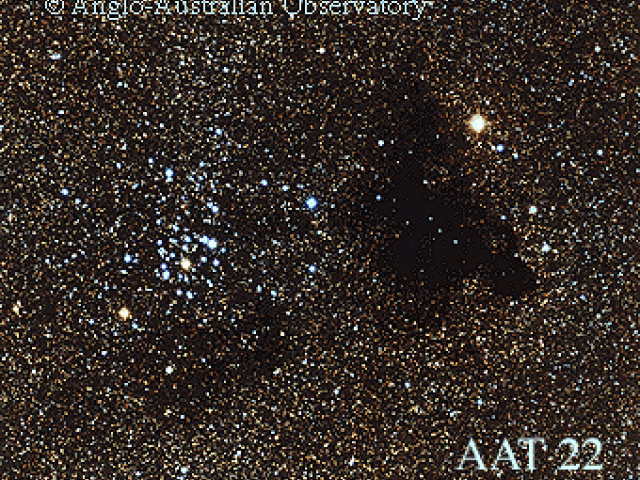 Bright Stars and Dark Clouds