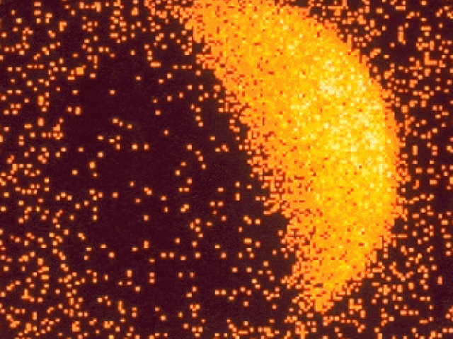 The X-Ray Moon