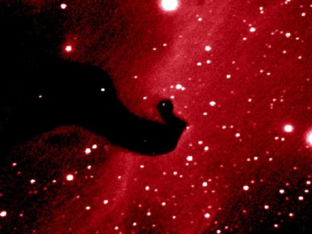 A Close-Up of the Horsehead Nebula