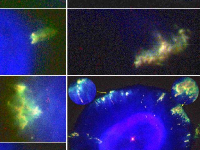 Fliers Around the Blue Snowball Nebula