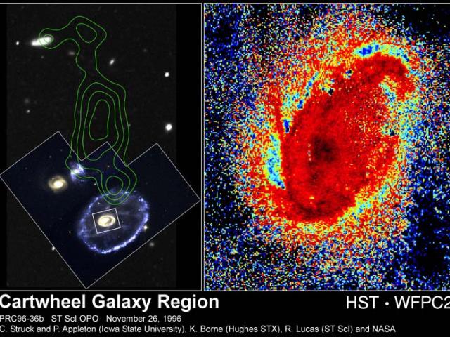 Comet-like Clouds in the Cartwheel Galaxy