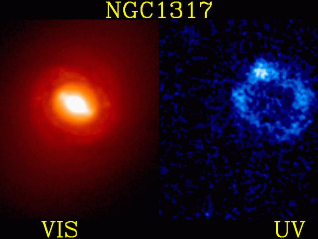 Starburst Ring in Galaxy NGC 1317
