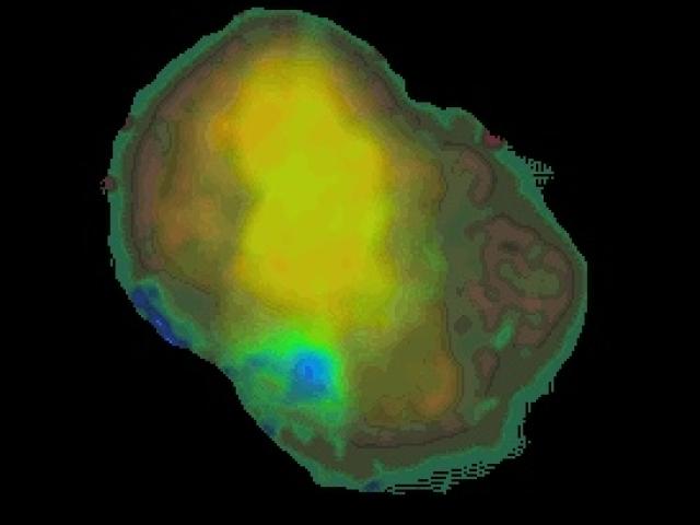 X-Rays From IC 443