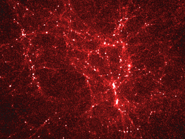 The Early Universe