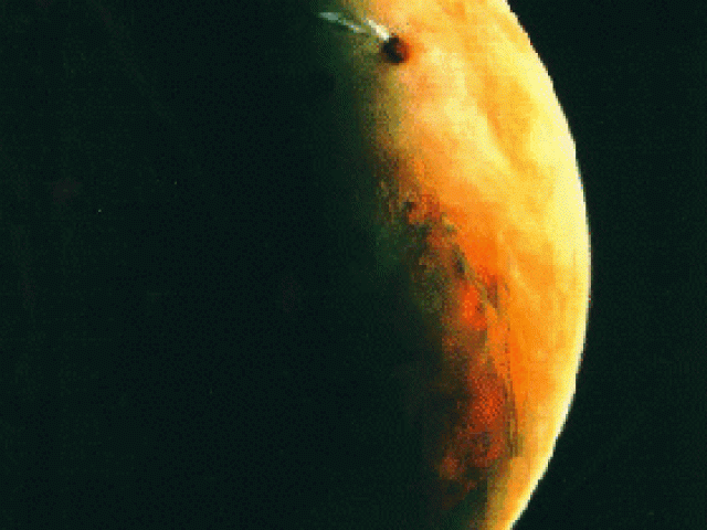 Barsoom