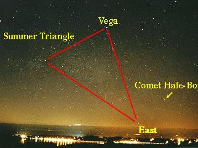 Vega