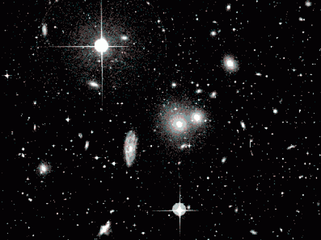 The Hydra Cluster of Galaxies