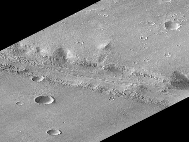 Surveyor At Mars