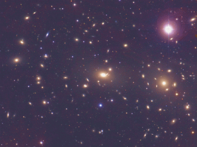 The Coma Cluster of Galaxies