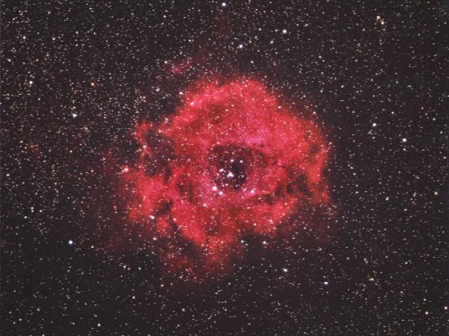 The Rosette Nebula
