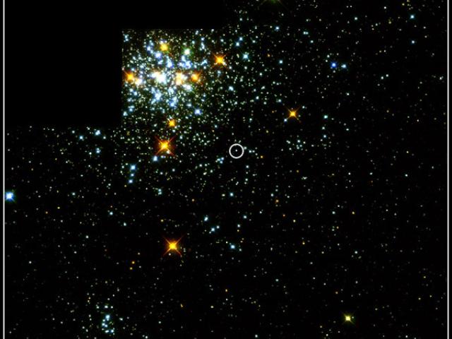 NGC 1818: Pick A Star