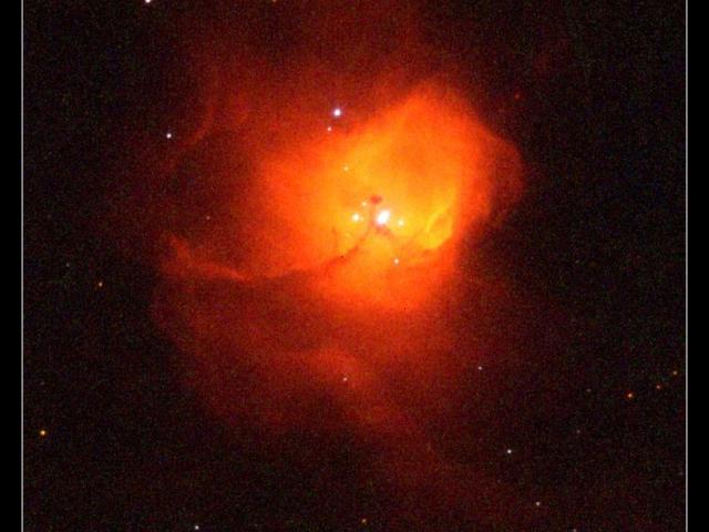 N81: Starbirth in the SMC