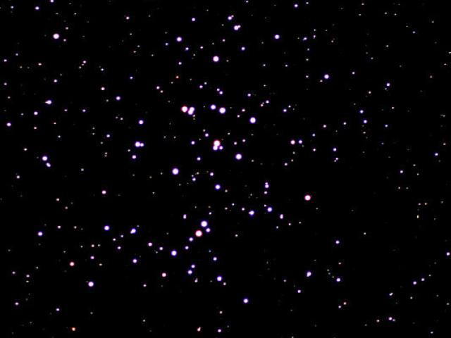 M44: A Beehive of Stars
