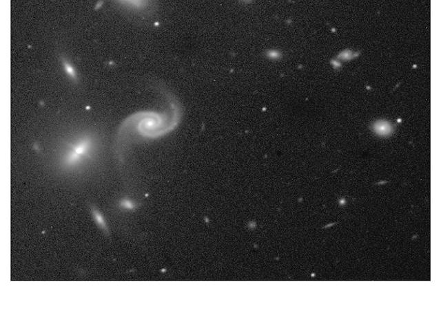 A Peculiar Cluster of Galaxies
