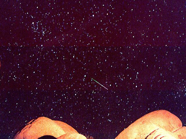 Leonids 1998: A Safe Meteor Storm