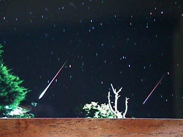 Bright Leonids
