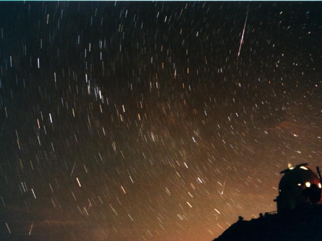 Seven Leonids Over Wise Observatory