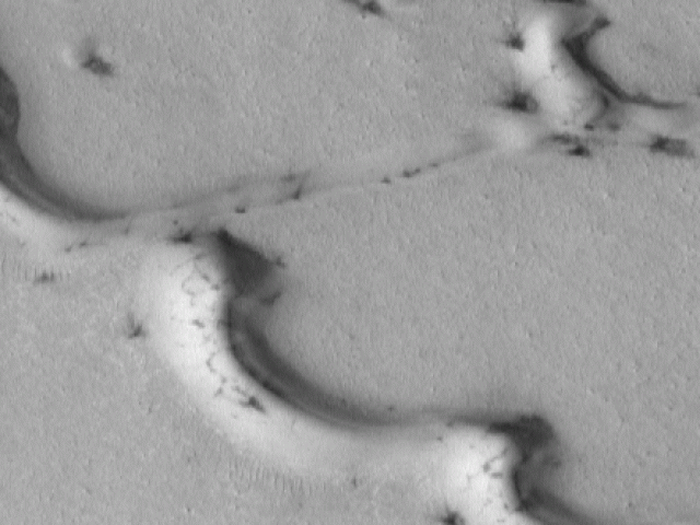 The Wind on Mars