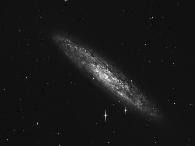 Spiral Galaxy NGC 253