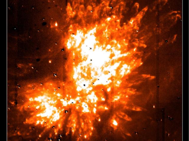 The Kleinmann Low Nebula
