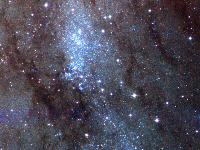 Stars of NGC 206