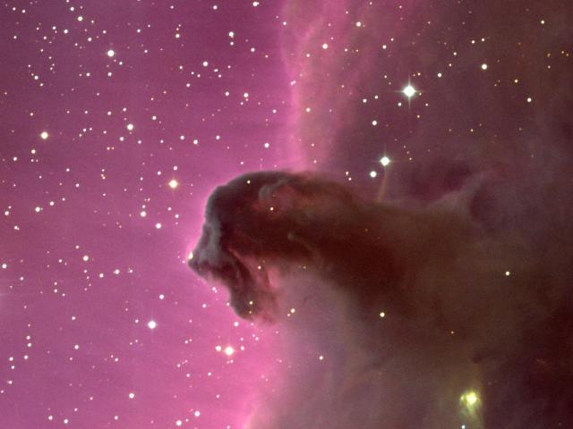 The Horsehead Nebula