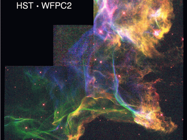 The Cygnus Loop