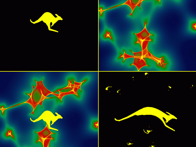 A Network of Microlensing Caustics