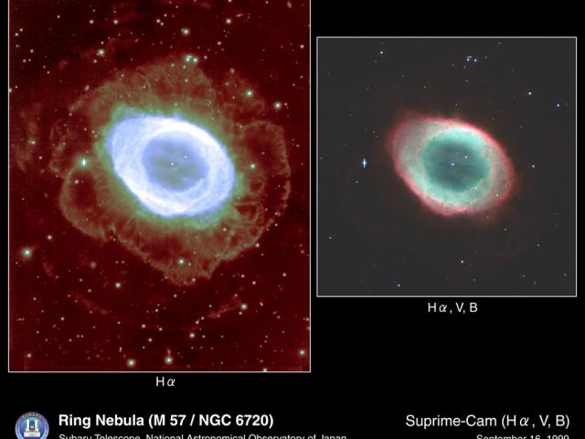 Halos Around the Ring Nebula