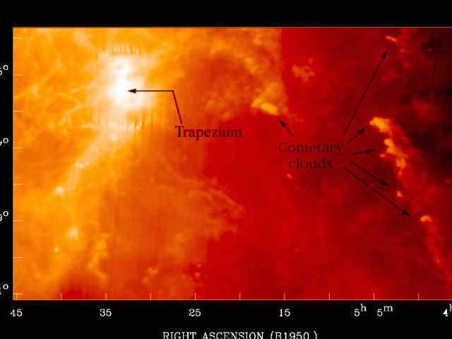 Cometary Globules In Orion
