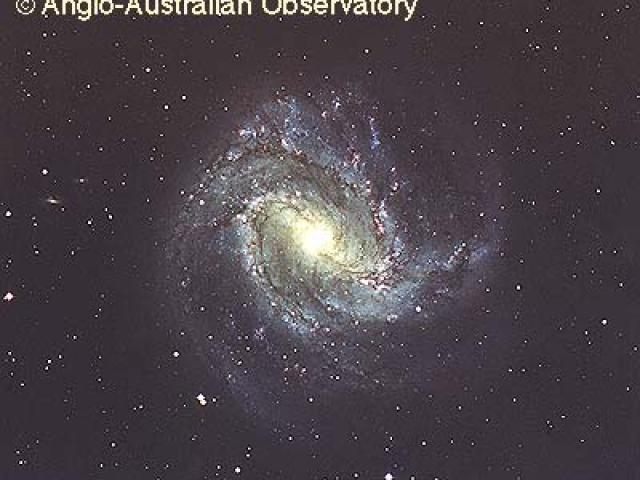 M83: A Barred Spiral Galaxy