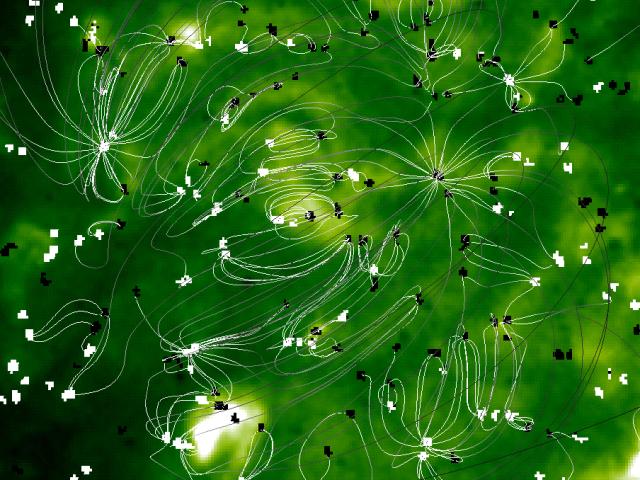 The Magnetic Carpet Of The Sun