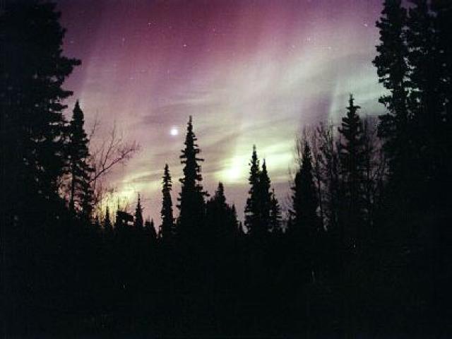 Aurora Through a Moonlit Sky