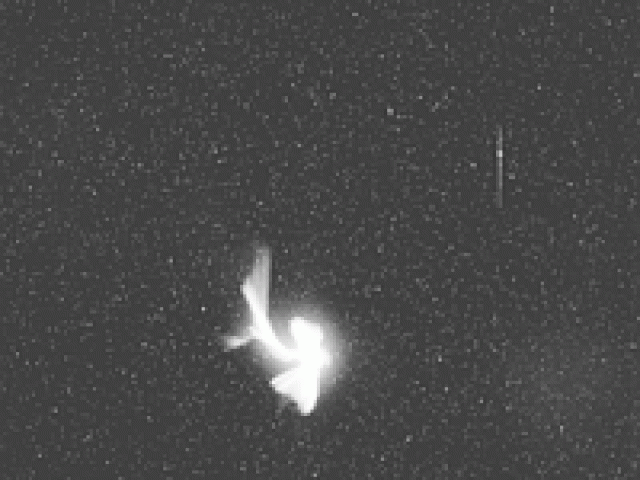 A Leonid Meteor Explodes