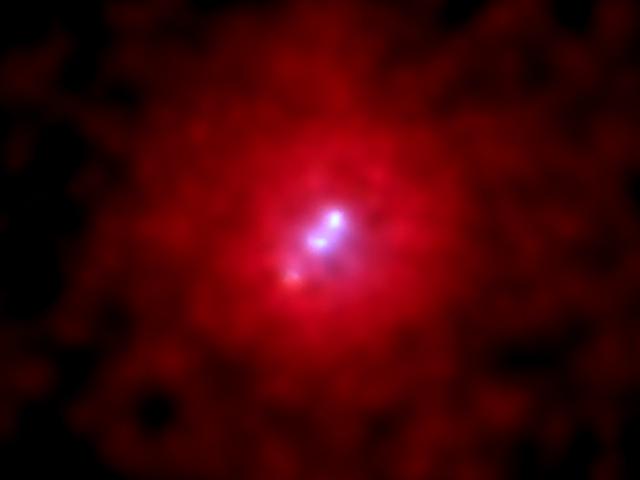 3C 295: X-rays From A Giant Galaxy