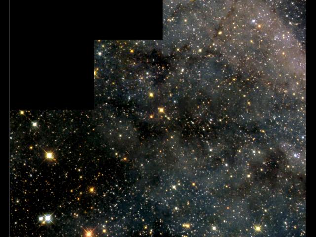 A Magellanic Starfield